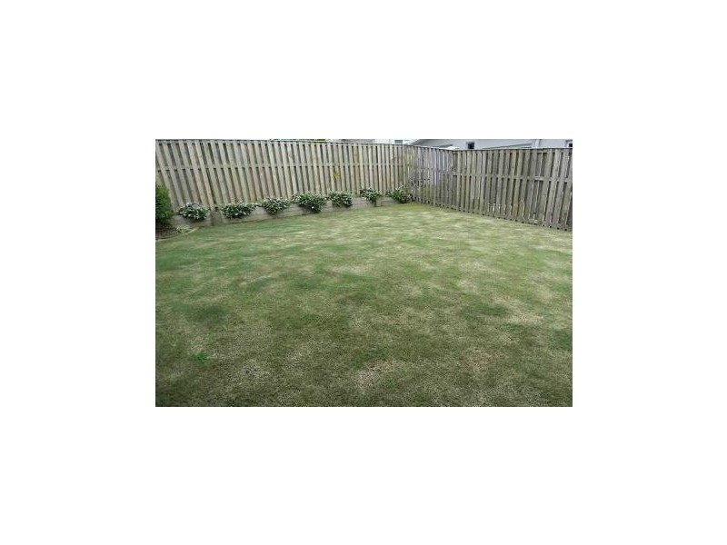 5 Westcott Way, Coomera QLD 4209