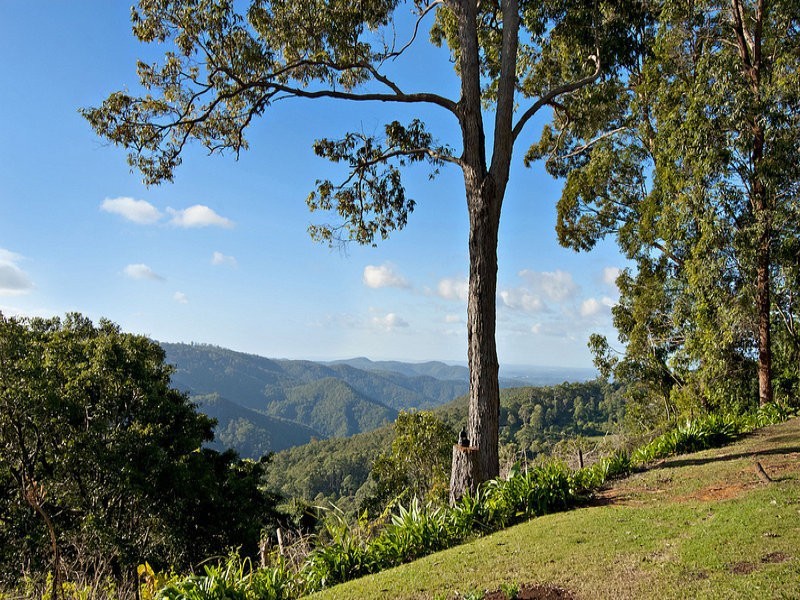 123 Alpine Terrace, Tamborine Mountain QLD 4272