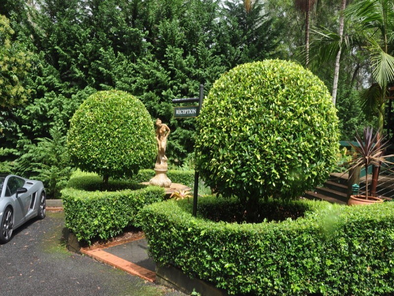 123 Alpine Terrace, Tamborine Mountain QLD 4272