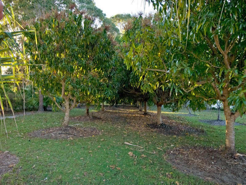 48 Lake Vista Drive, Peregian Beach QLD 4573