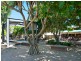 160 The Avenue, Peregian Springs QLD 4573