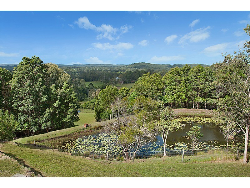 119 SHURVELL RD, Hunchy QLD 4555