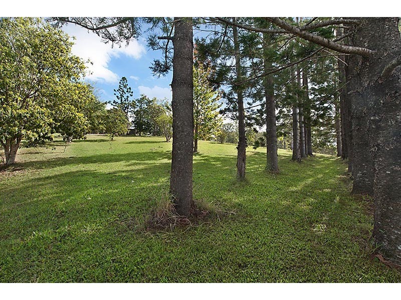 119 SHURVELL RD, Hunchy QLD 4555