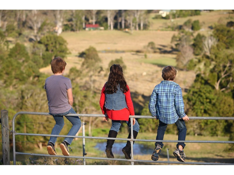 119 SHURVELL RD, Hunchy QLD 4555