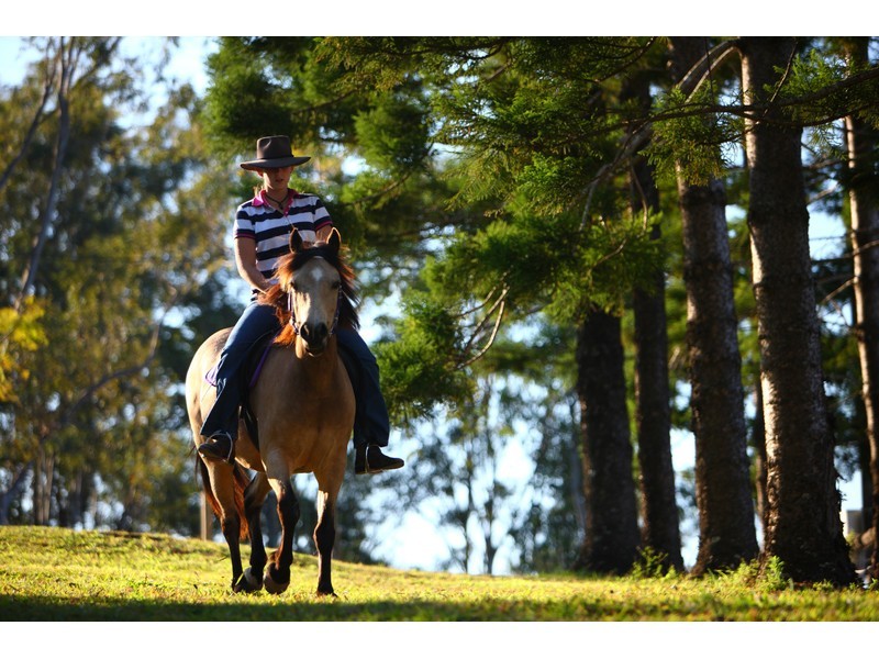 119 SHURVELL RD, Hunchy QLD 4555