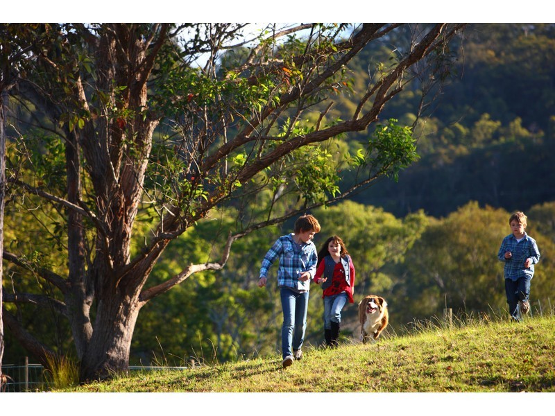 119 SHURVELL RD, Hunchy QLD 4555