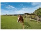119 SHURVELL RD, Hunchy QLD 4555