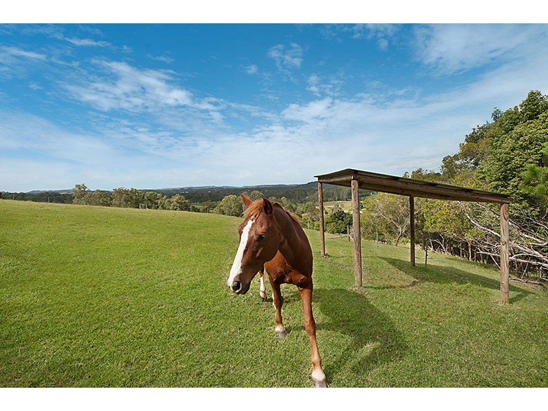 119 SHURVELL RD, Hunchy QLD 4555