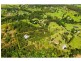 67 Jubilee Rd, Carters Ridge QLD 4563