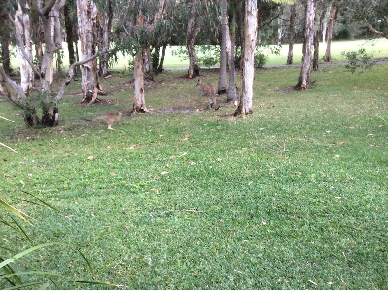 37/86 Visage – Hyatt Coolum Estate Esp,, Coolum Beach QLD 4573