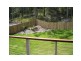37 St Helena Street, Little Mountain QLD 4551