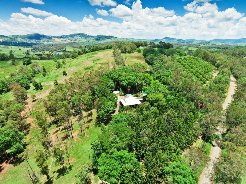 874 Mcintosh Creek Rd, Calico Creek QLD 4570