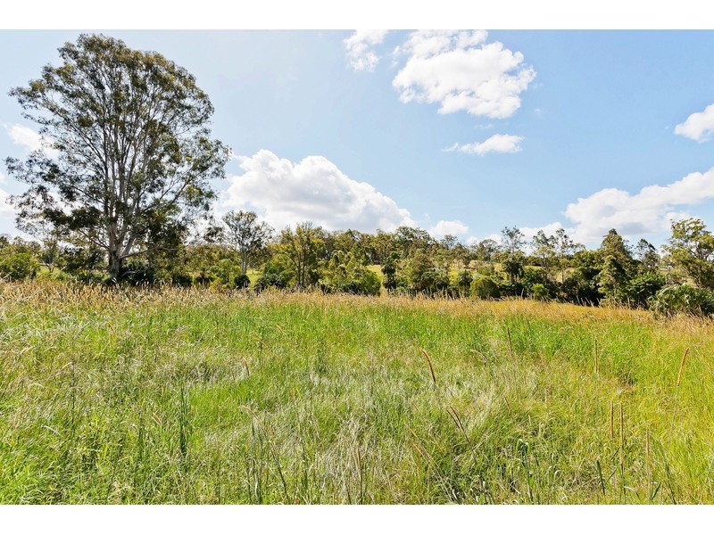 559 Rocks Road, Pie Creek QLD 4570