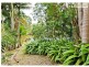 111 Yabba Road, Imbil QLD 4570