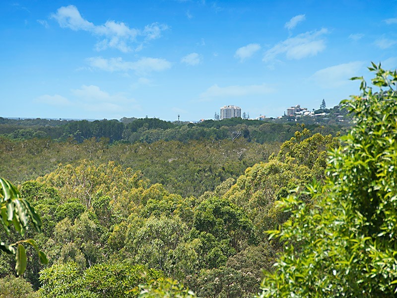 226A Arcoona Rd, Yandina Creek QLD 4561