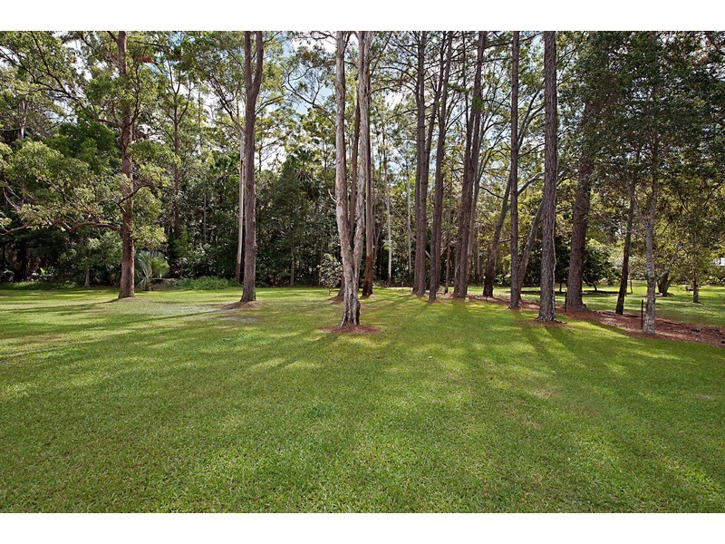 53 Rainforest Rd, Chevallum QLD 4555