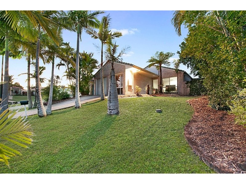 3 Pimelea Court, Mountain Creek QLD 4557