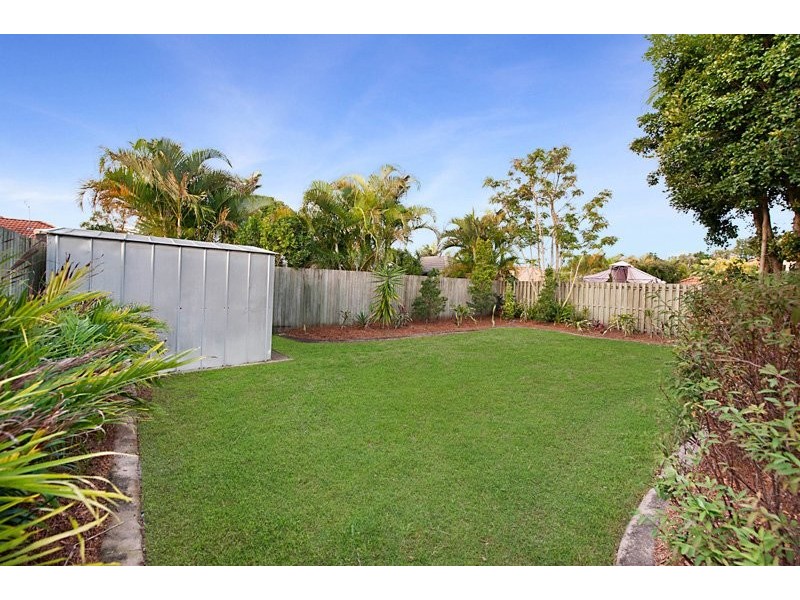 3 Pimelea Court, Mountain Creek QLD 4557