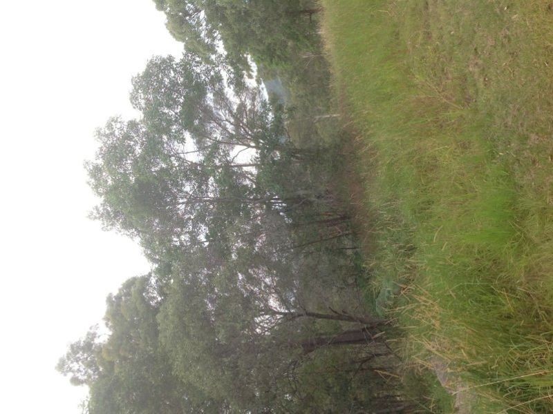 Ormeau QLD 4208