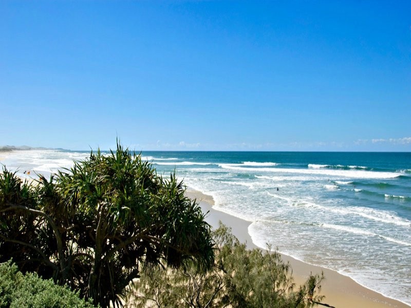 17 Feathertail Place, Peregian Springs QLD 4573