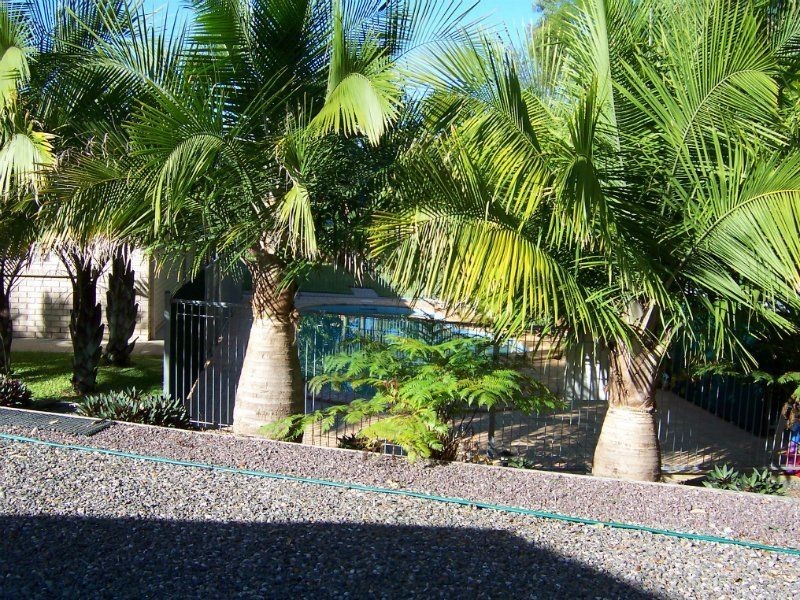 115 Jensen Road, Ninderry QLD 4561