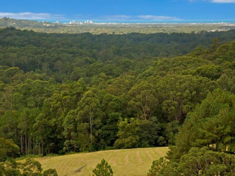 31 FOLEY RD, Tanawha QLD 4556