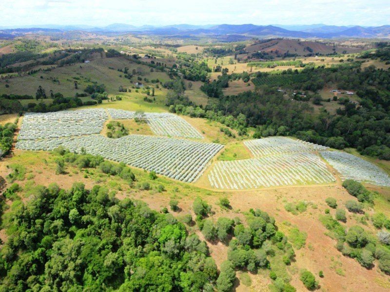 255 Amamoor Creek Road, Amamoor QLD 4570