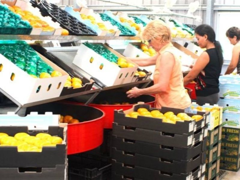 255 Amamoor Creek Road, Amamoor QLD 4570