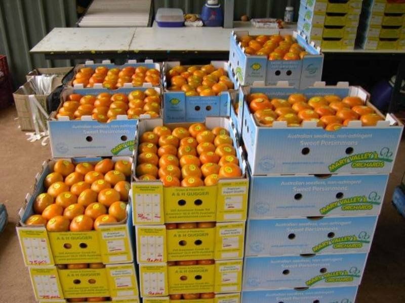 255 Amamoor Creek Road, Amamoor QLD 4570