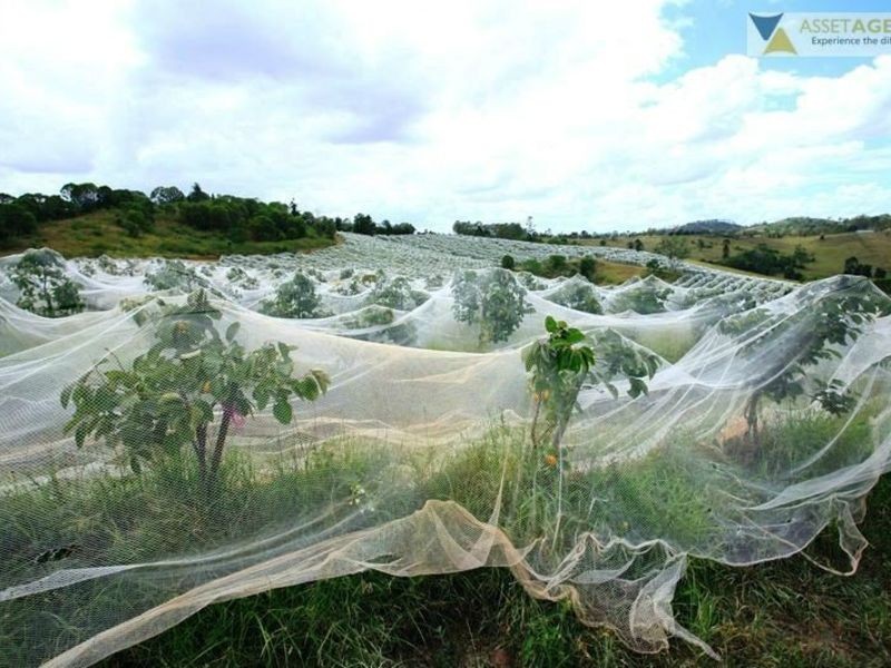 255 Amamoor Creek Road, Amamoor QLD 4570