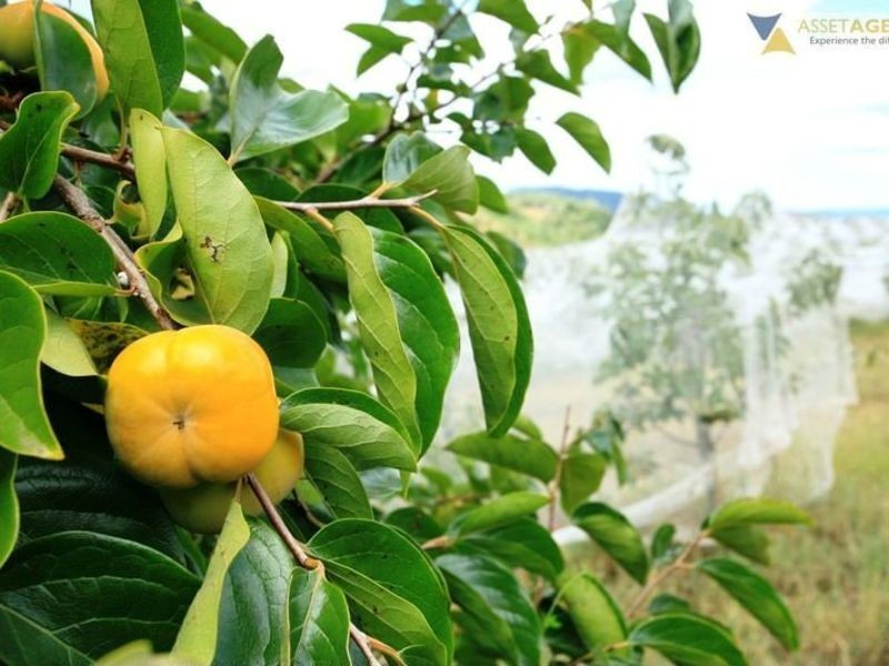 255 Amamoor Creek Road, Amamoor QLD 4570