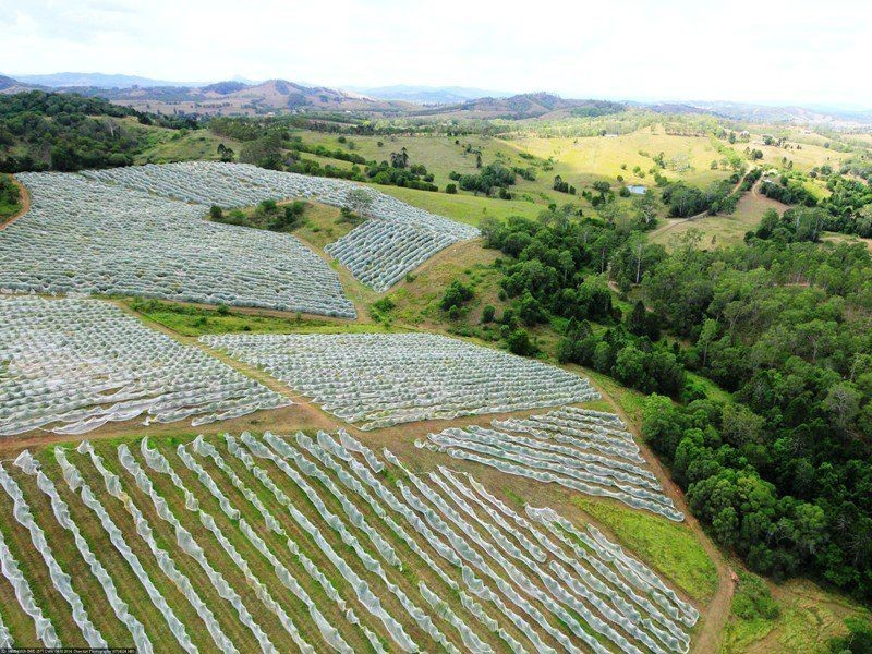 255 Amamoor Creek Road, Amamoor QLD 4570