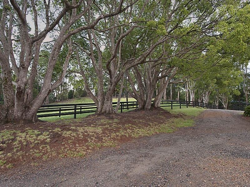 35 AKALA STREET, Flaxton QLD 4560