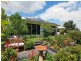 17 Peachtree Cres, Peregian Springs QLD 4573