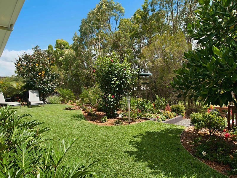 17 Peachtree Cres, Peregian Springs QLD 4573