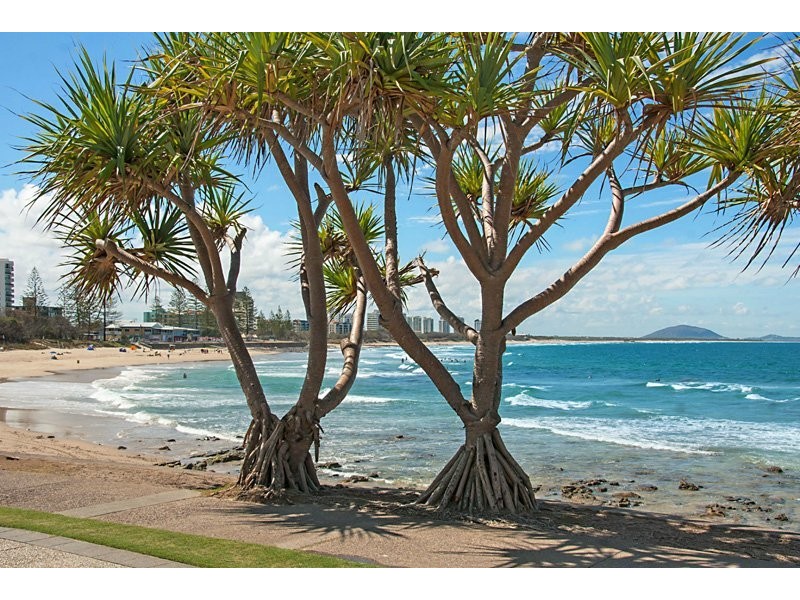 2/42 EDWARD ST, Alexandra Headland QLD 4572