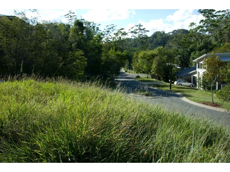 62 Martins creek Rd, Buderim QLD 4556