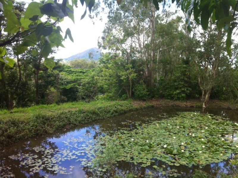 197 Ocean View Rd, Cooroy QLD 4563