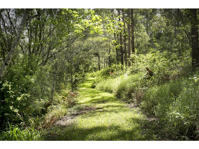 239 Arthys Rd, Cooran QLD 4569