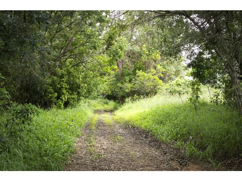 239 Arthys Rd, Cooran QLD 4569