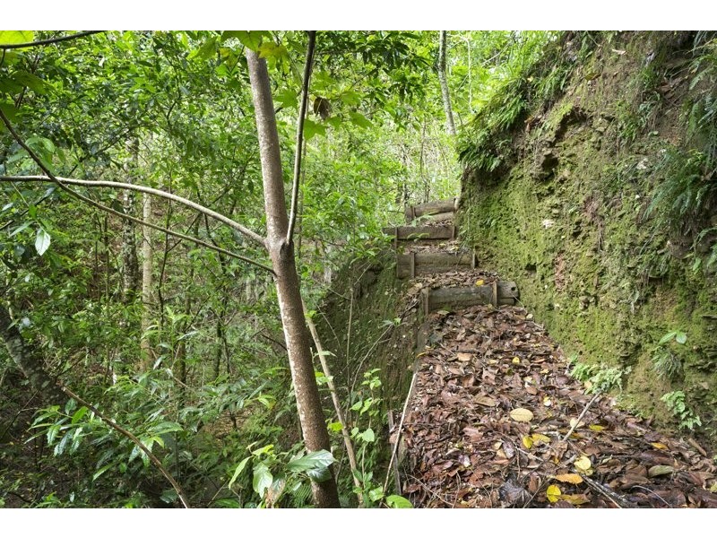 239 Arthys Rd, Cooran QLD 4569