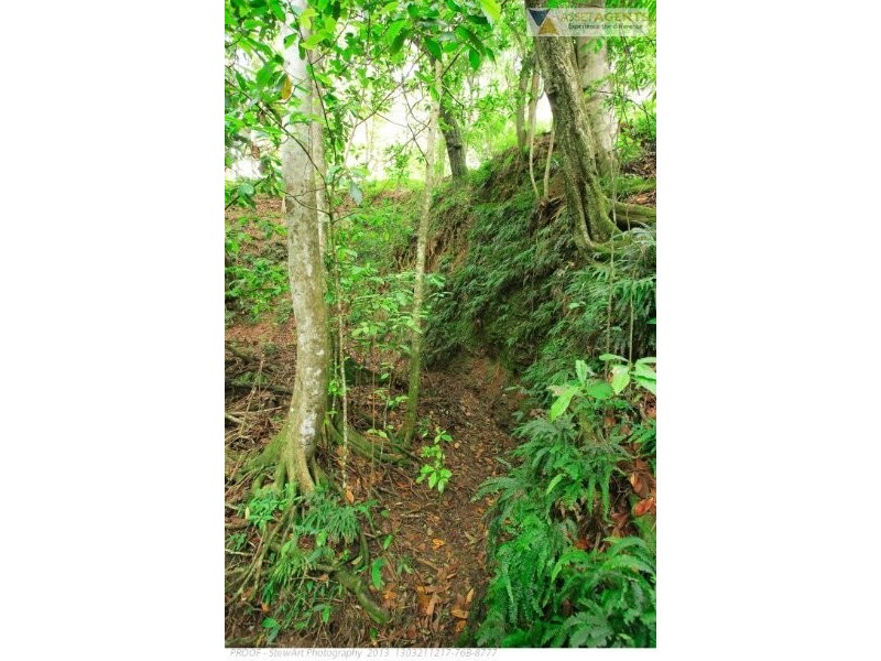 239 Arthys Rd, Cooran QLD 4569