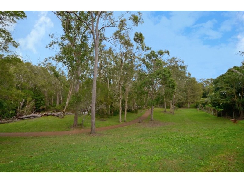 16 Dun St, Tewantin QLD 4565