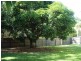 Southport QLD 4215