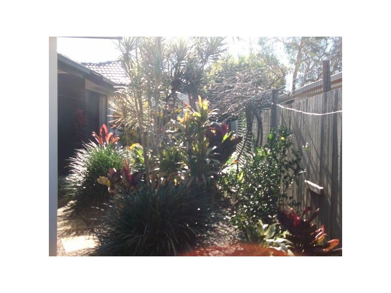 7 Longwood Drive, Peregian Springs QLD 4573