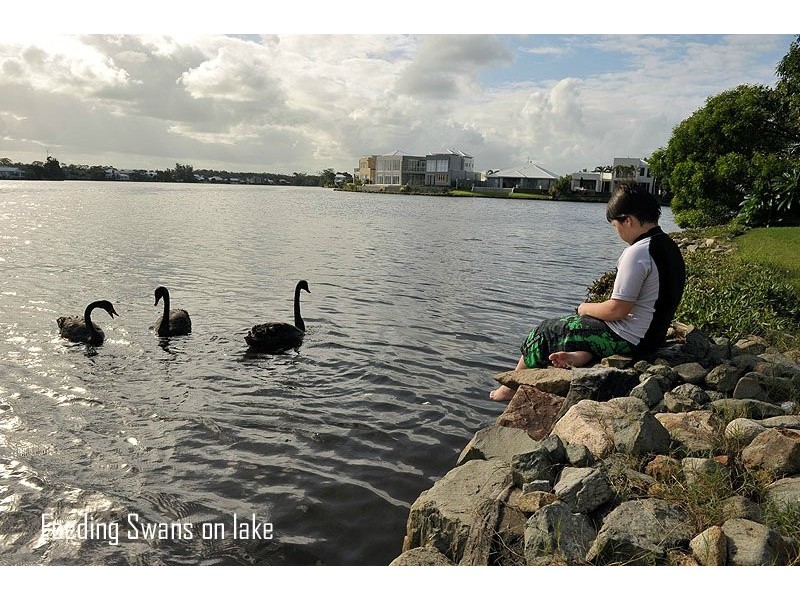 14 Oceanic Court, Twin Waters QLD 4564