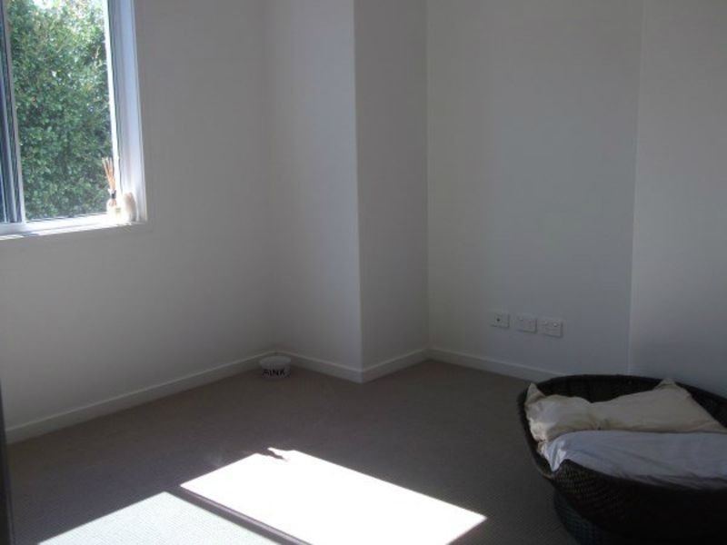 11 Waterville Way, Peregian Springs QLD 4573