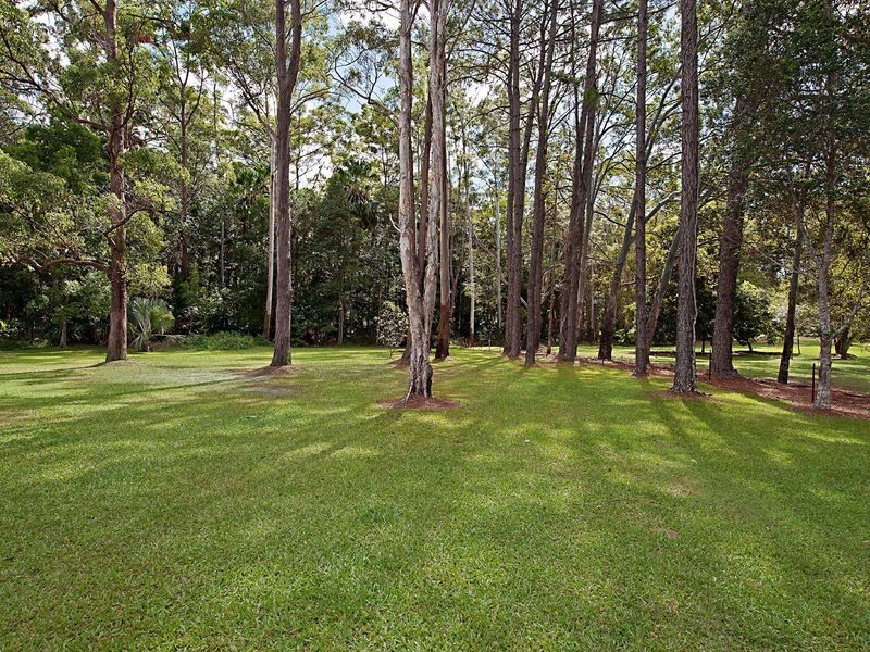 53 Rainforest Dr, Tanawha QLD 4556