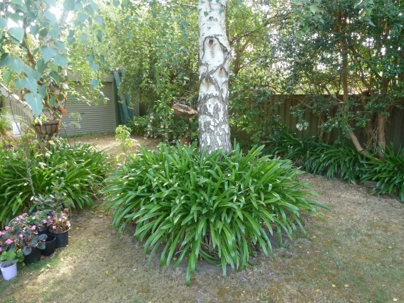 19 Bellshire Place, Mount Gambier SA 5290