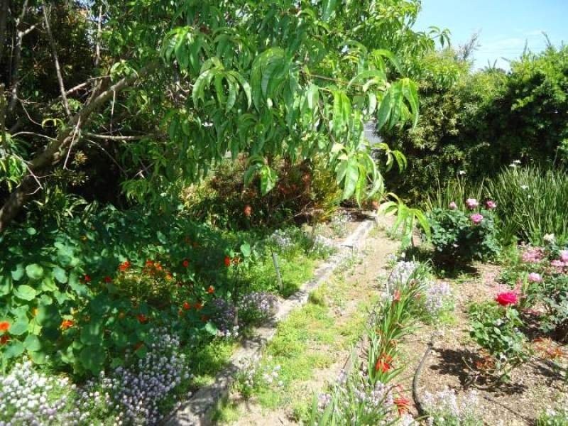 97 Pick Ave, Mount Gambier SA 5290